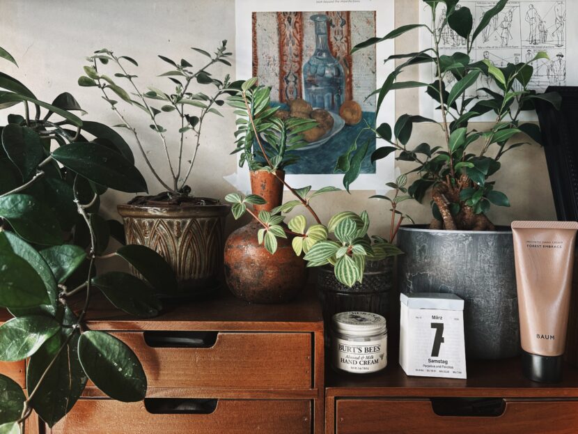 The Gentle Glow of a Warm Spring-like Day.